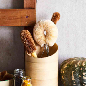 Natural dish brush with cream sisal fibre head among other kitchen brushes